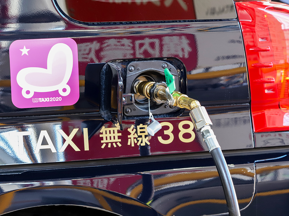 サンプル画像