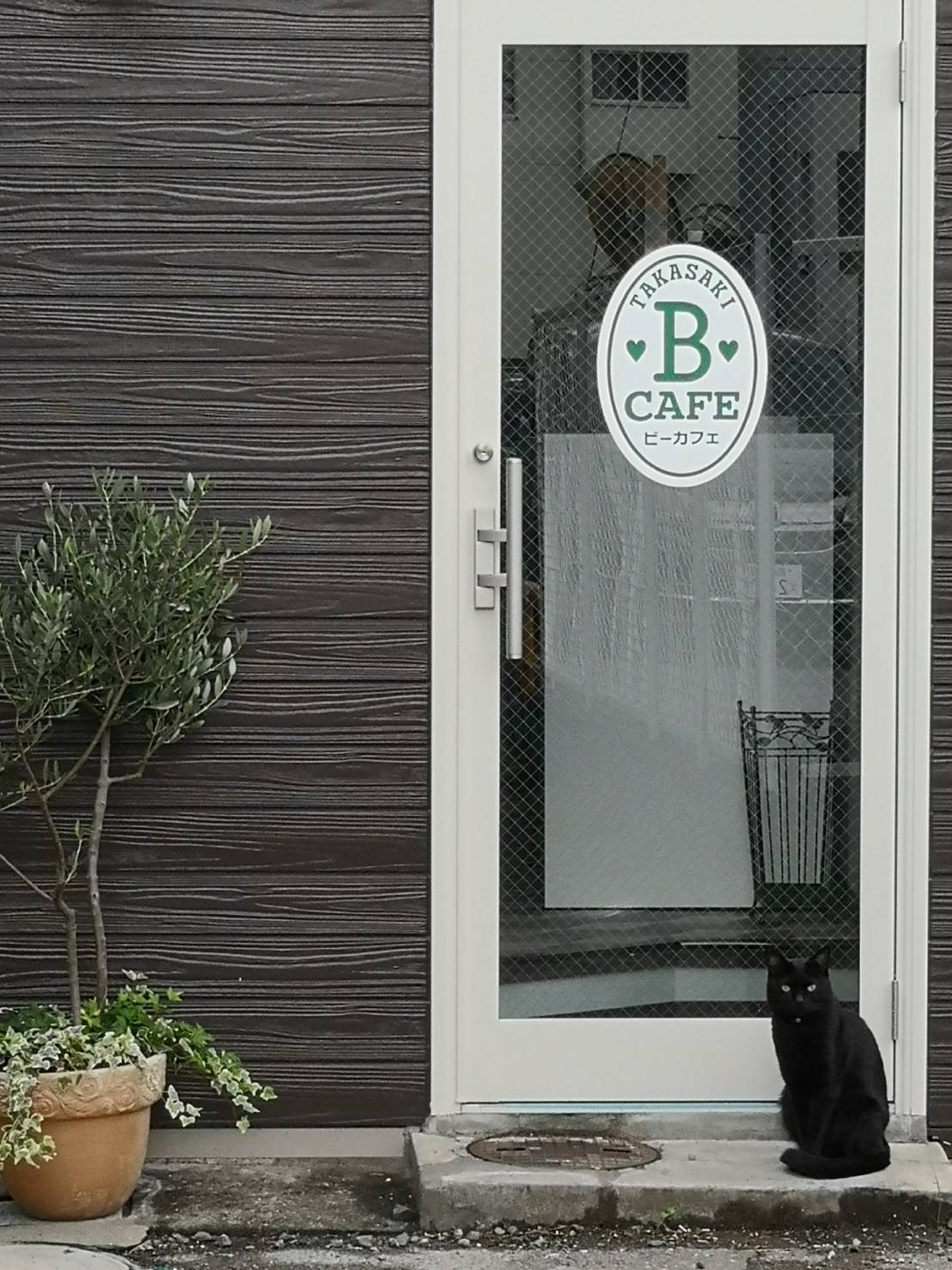 群馬県高崎市の猫が遊びにくる占い館ＢＣＡＦＥ（ビーカフェ）群馬高崎店！まるで「猫カフェ」のような占い館です