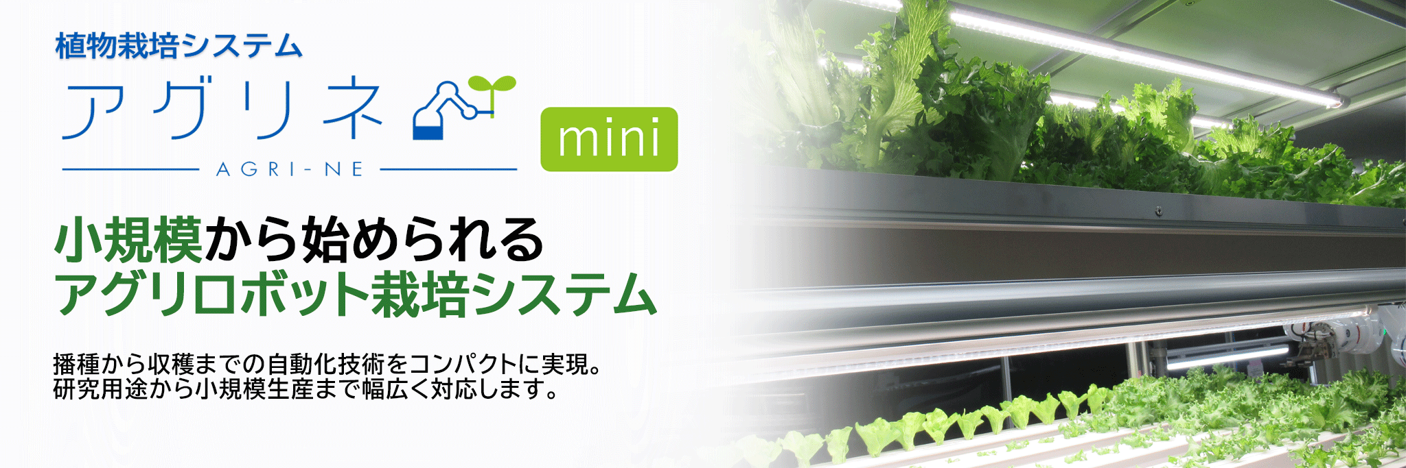 見出し