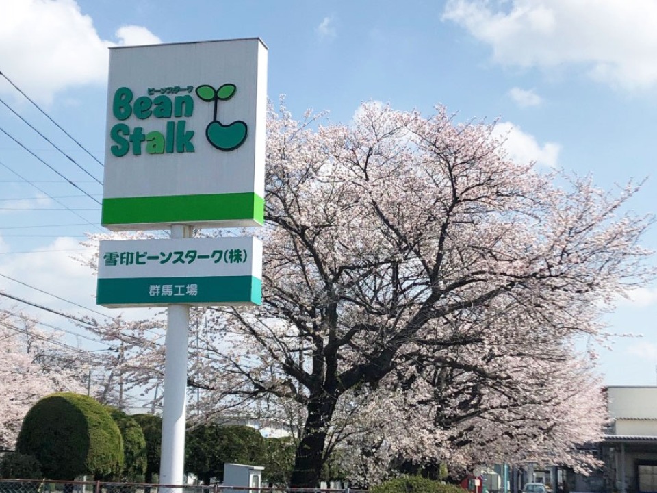 雪印ビーンスターク様