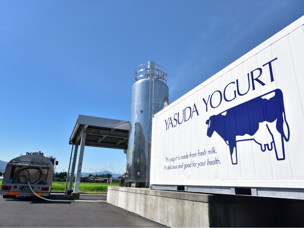 ヤスダヨーグルト様