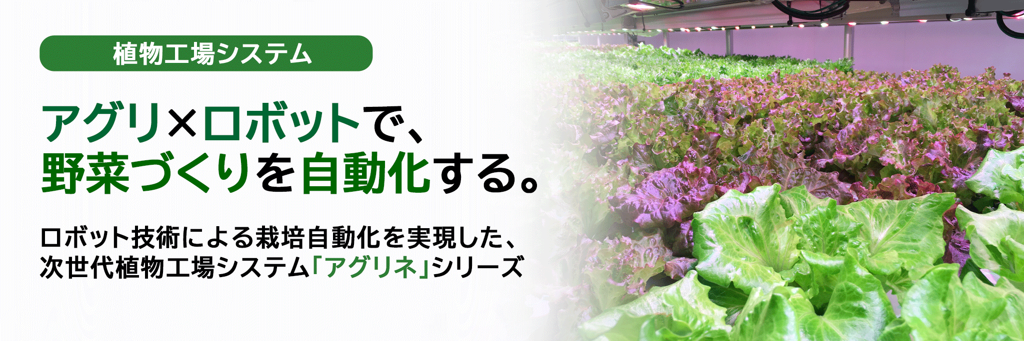 見出し