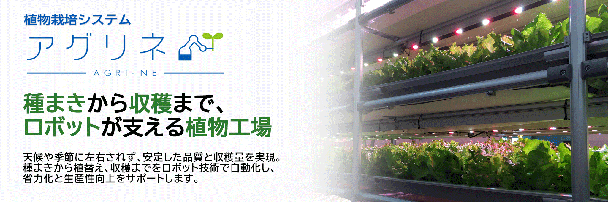 見出し
