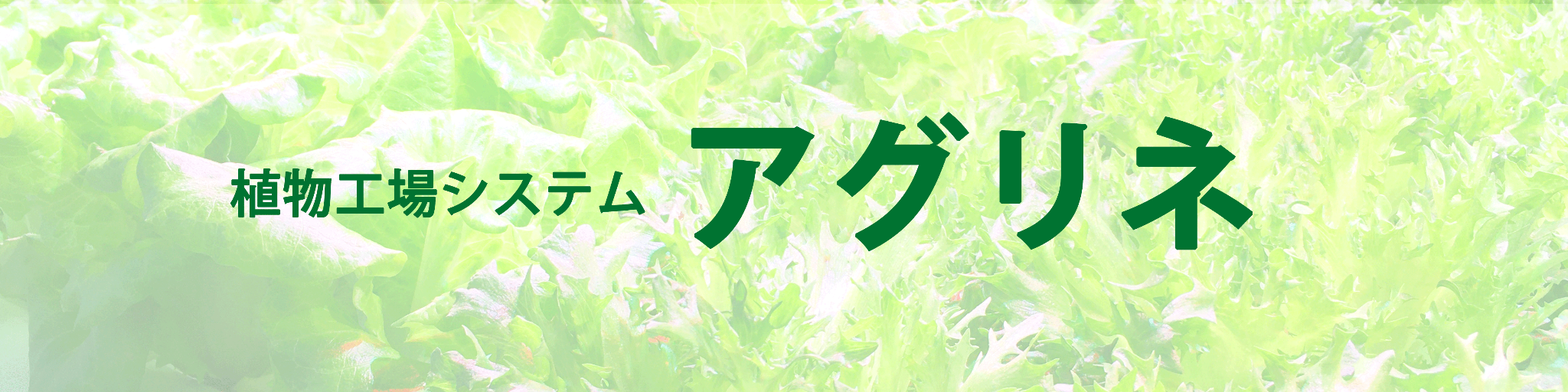 見出し