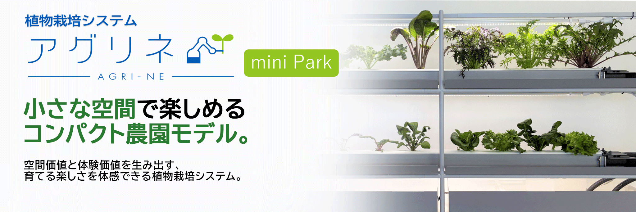 見出し