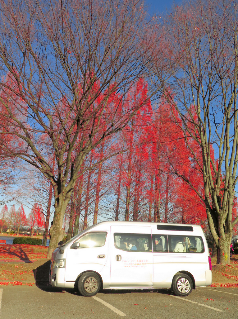 シルバーシティ石神井北館　2025.12.18「秋風に包まれて川越へ」