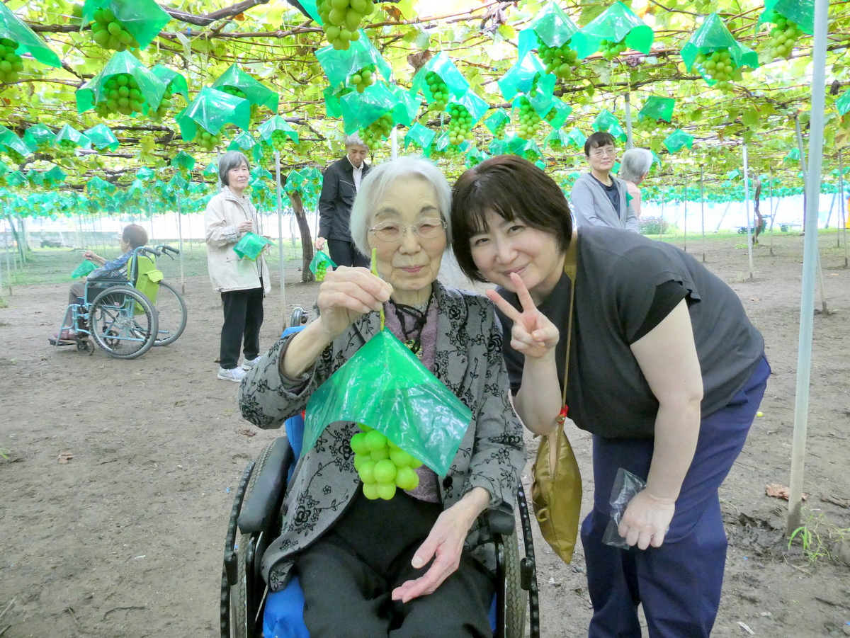 シルバーシティ聖蹟桜ヶ丘　2026.09.30「ぶどう狩り」