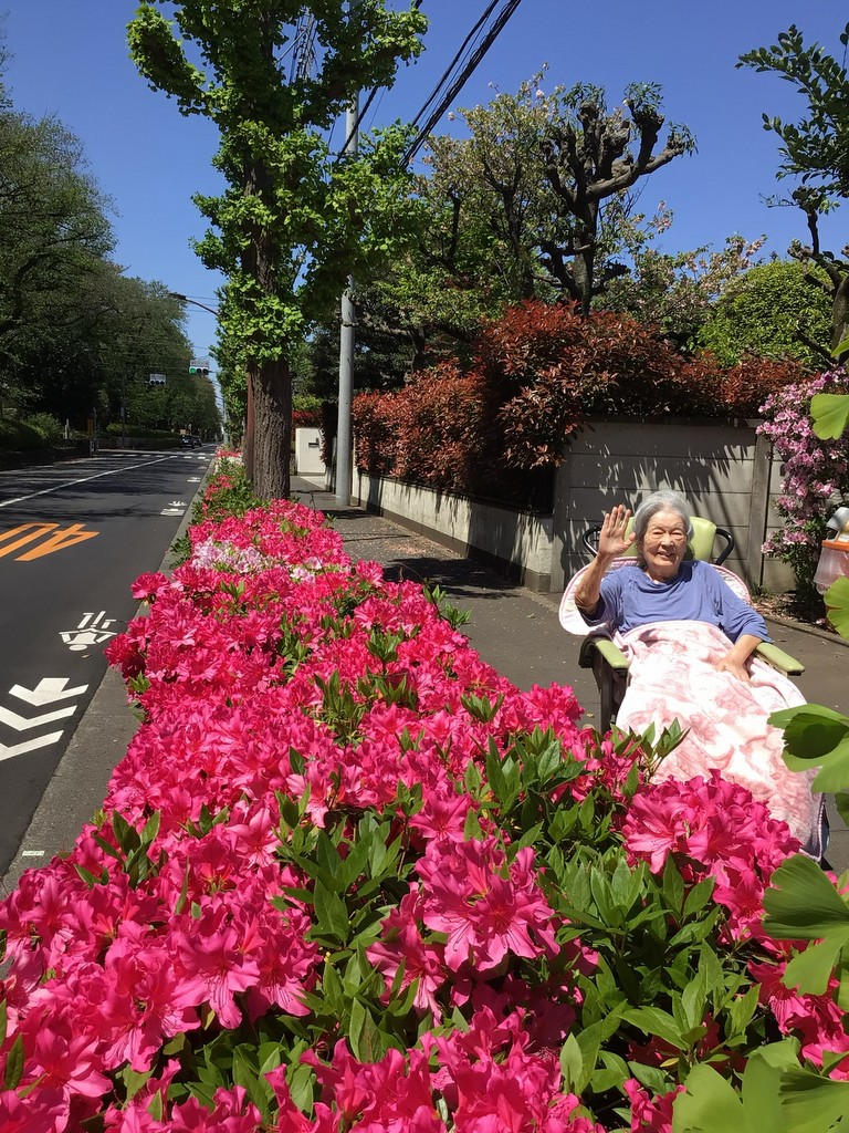 シルバーシティむさしの欅館　2026.04.17「ツツジ咲く頃のお散歩日和」