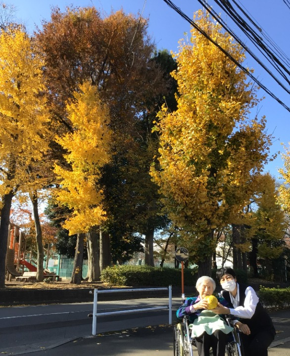 シルバーシティむさしの欅館　紅葉の銀杏並木