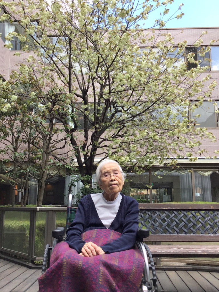 シルバーシティ石神井南館　2026.04.05「野点」