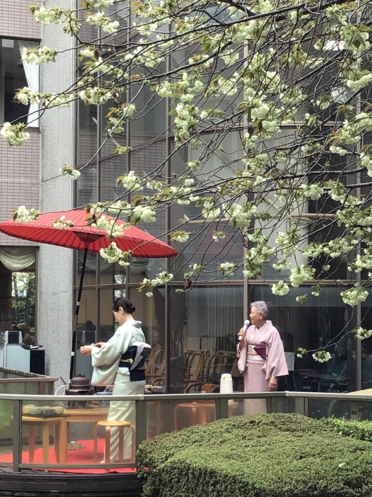 シルバーシティ石神井南館　2026.04.05「野点」