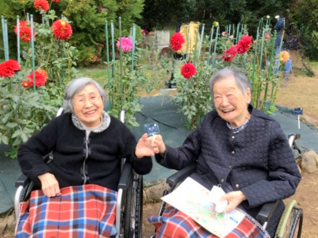 シルバーシティむさしの欅館　2025.10「秋のバラフェスタ」