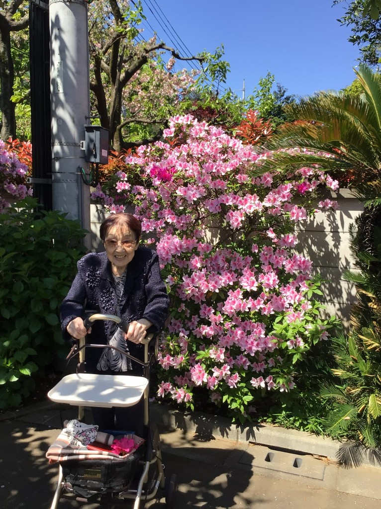 シルバーシティむさしの欅館　2026.04.17「ツツジ咲く頃のお散歩日和」