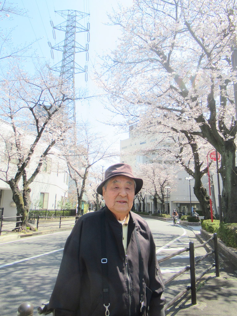 シルバーシティ聖蹟桜ヶ丘　2026.04.13「さくらウィーク」