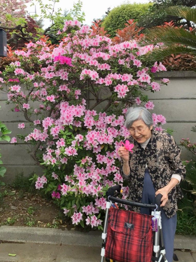 シルバーシティむさしの欅館　2026.04.17「ツツジ咲く頃のお散歩日和」