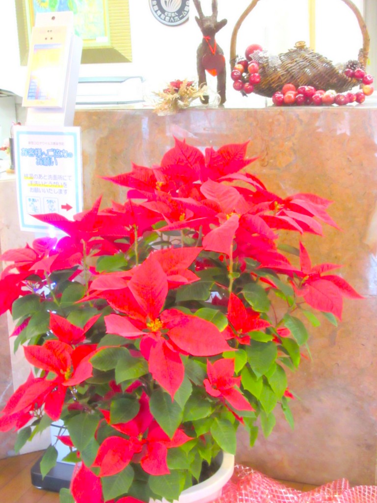 シルバーシティ武蔵野　2025.12.20「クリスマスランチパーティ」