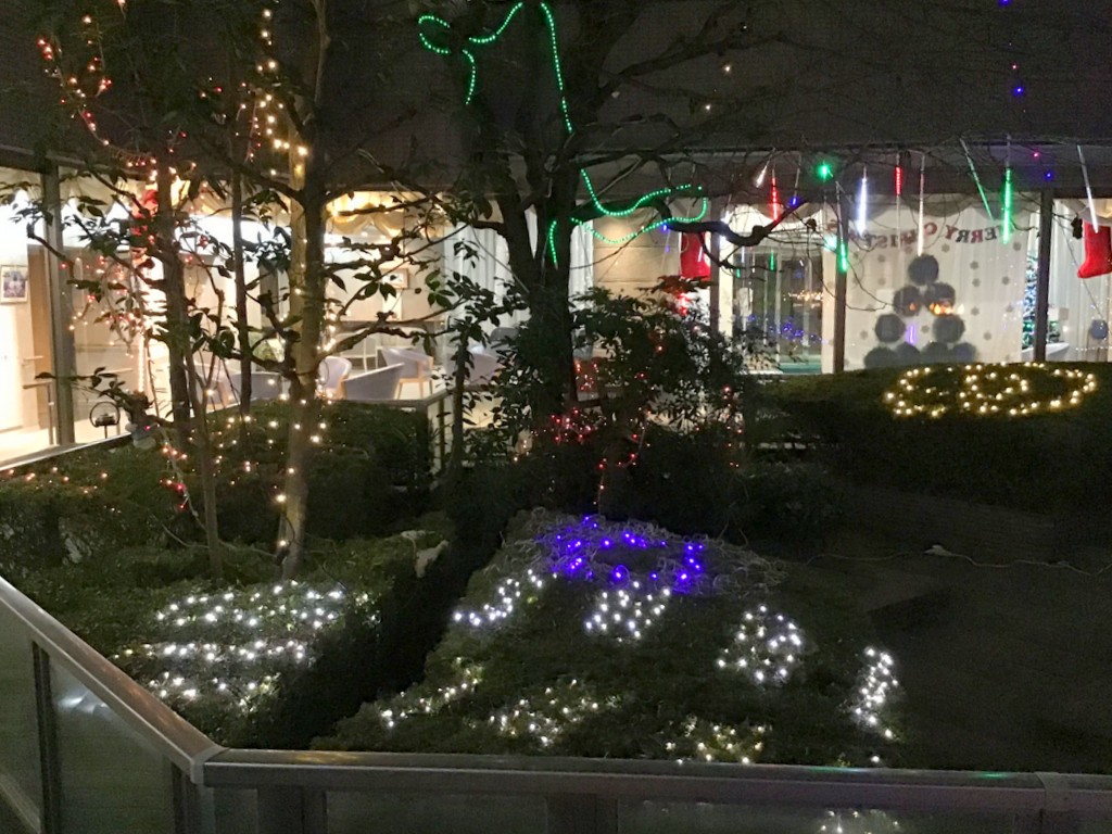 シルバーシティ石神井南館　2025.12.09「冬の風物詩」