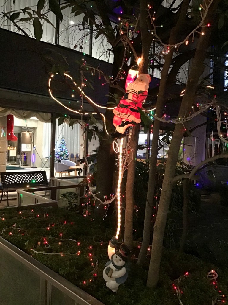 シルバーシティ石神井南館　2025.12.09「冬の風物詩」