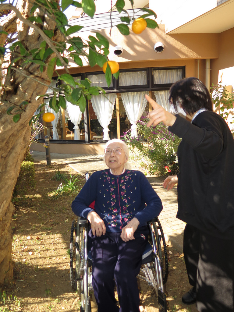 シルバーシティ石神井北館　実りの秋