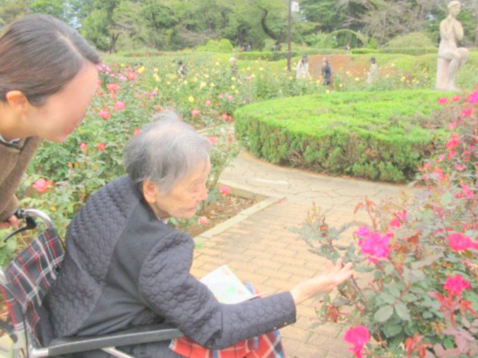 シルバーシティむさしの欅館　2025.10「秋のバラフェスタ」