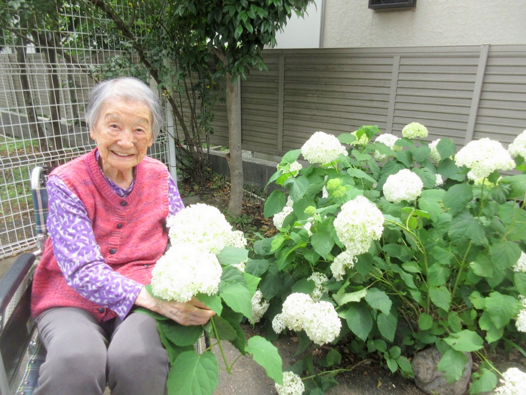 シルバーシティむさしの欅館　2026.06「紫陽花散歩」