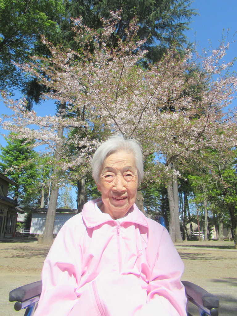 シルバーシティ聖蹟桜ヶ丘　2026.04.13「さくらウィーク」