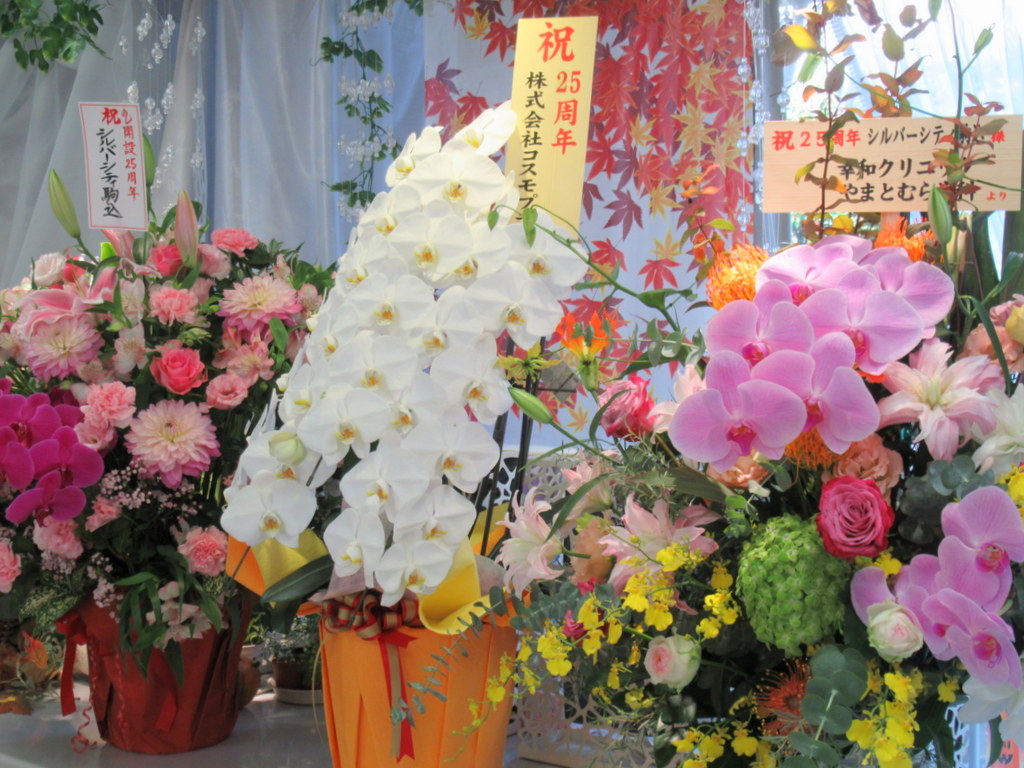 シルバーシティ駒込　2025.11.1「開設２５周年」