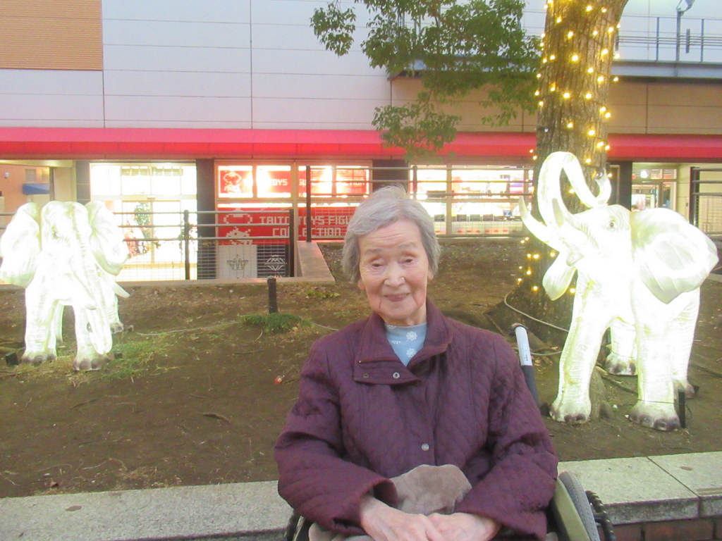 シルバーシティ聖蹟桜ヶ丘　2025.12.15「外出イベント-イルミネーション」