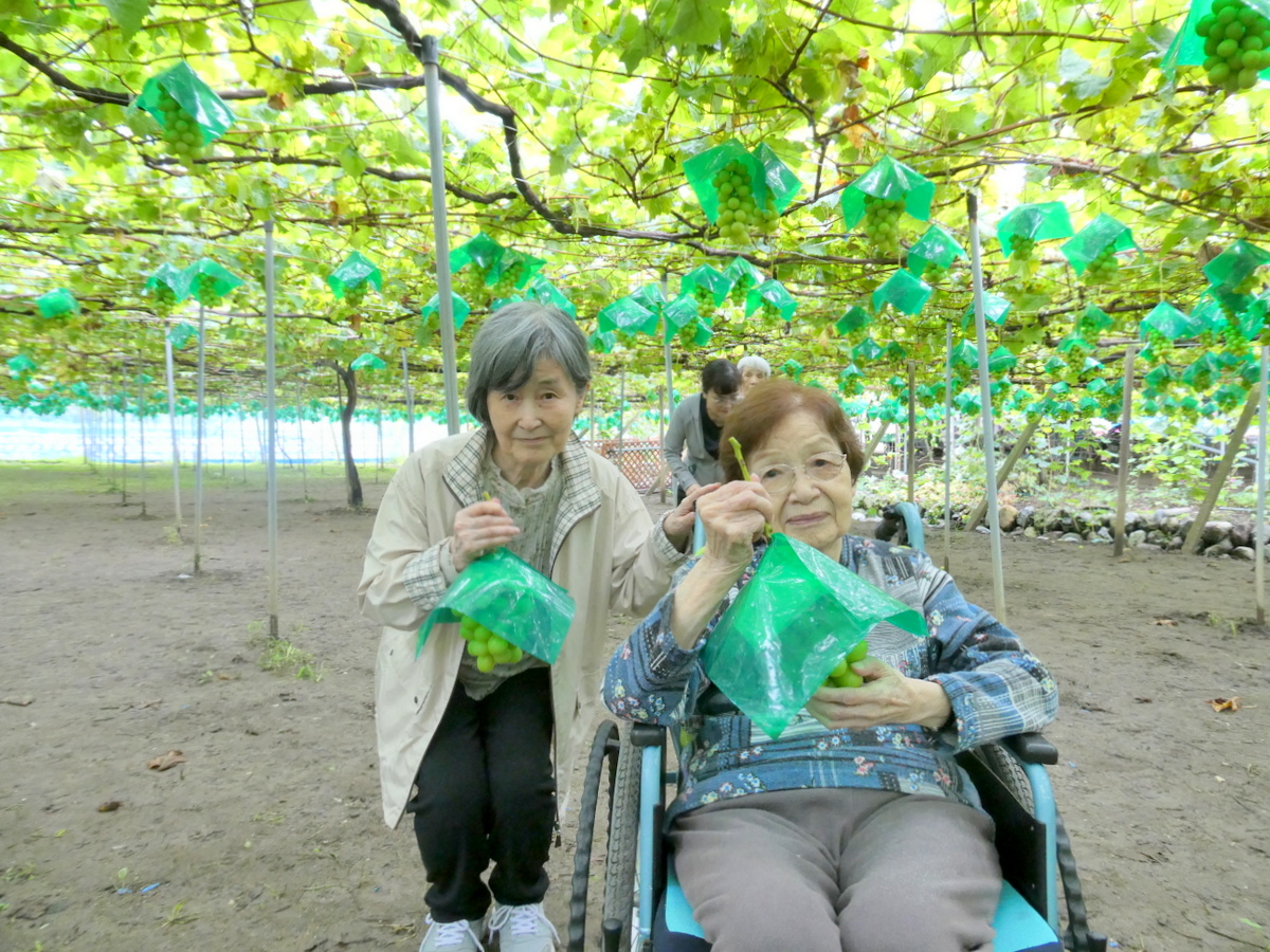 シルバーシティ聖蹟桜ヶ丘 2026.09.30「ぶどう狩り」