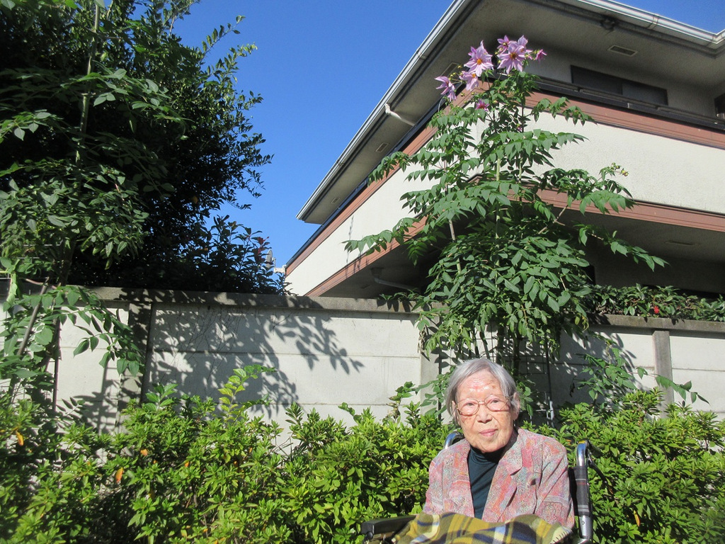 シルバーシティむさしの欅館　紅葉の銀杏並木