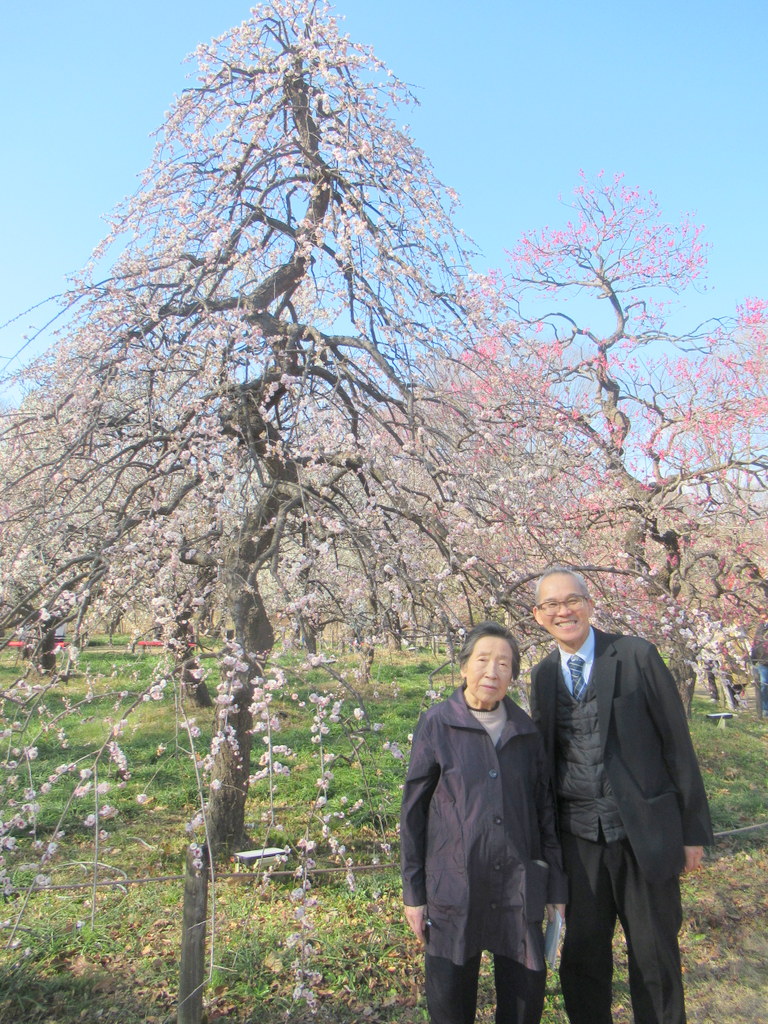 シルバーシティ聖蹟桜ヶ丘 2026.02.14「2月イベント」