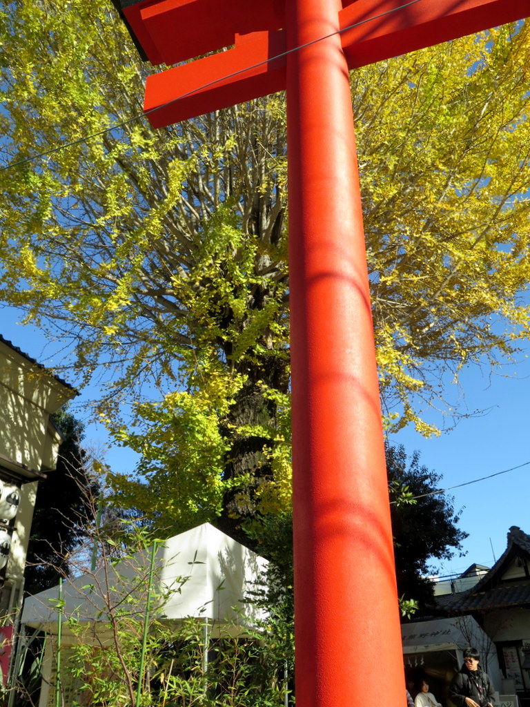 シルバーシティ石神井北館　2025.12.18「秋風に包まれて川越へ」