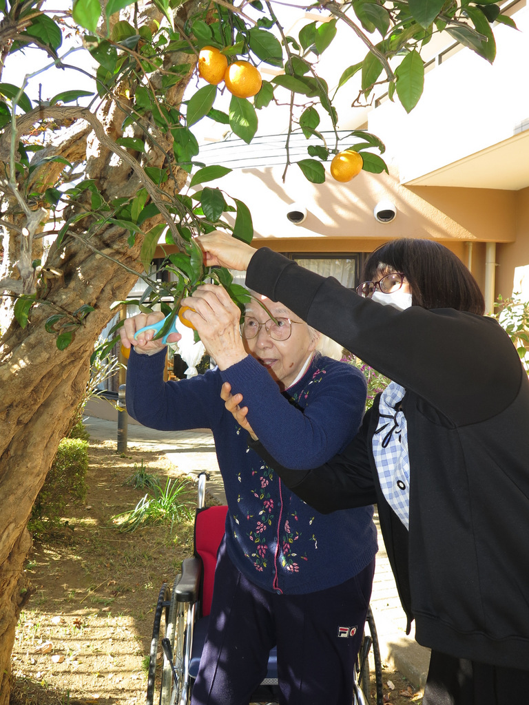 シルバーシティ石神井北館 実りの秋