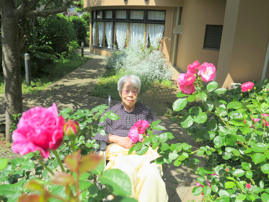シルバーシティ石神井北館　2025.05.09「石神井北館の園庭は花盛り」