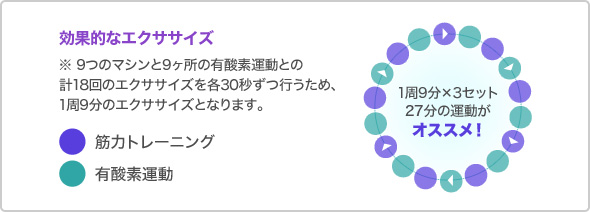 効果的なエクササイズ