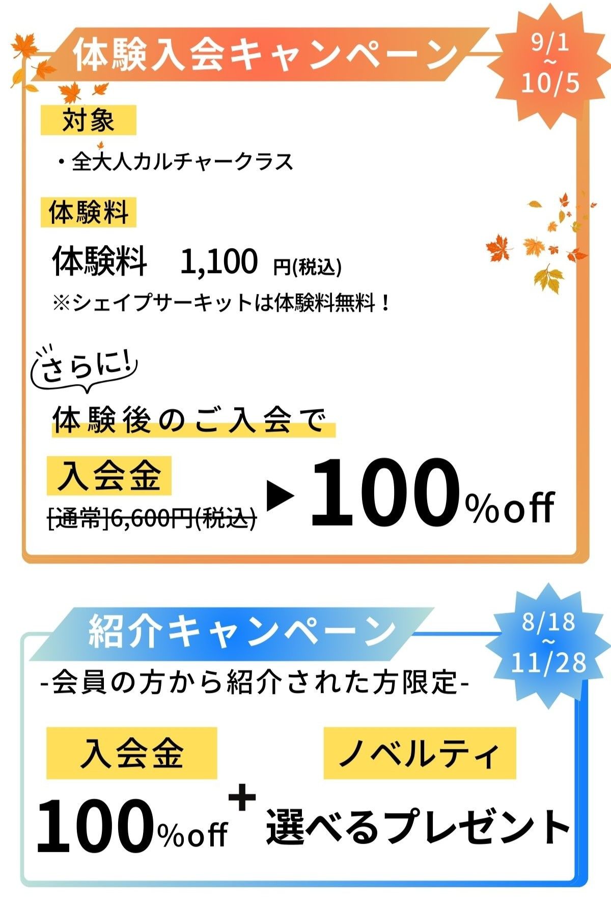 上北台大人のスイミングスクールキャンペーン