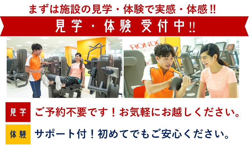 サンプル画像