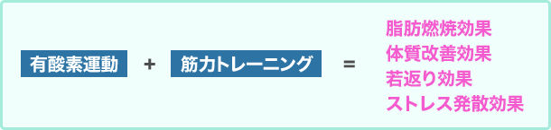 理想の体型には