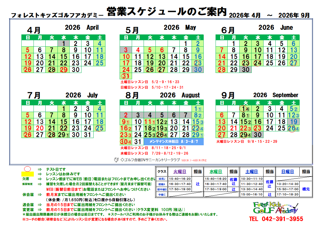 サンプル画像