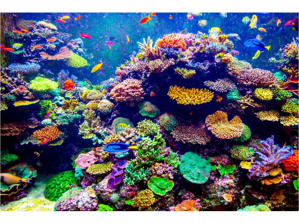 今日は何の日 - スタッフBlog｜ロンドスクールMAX成増