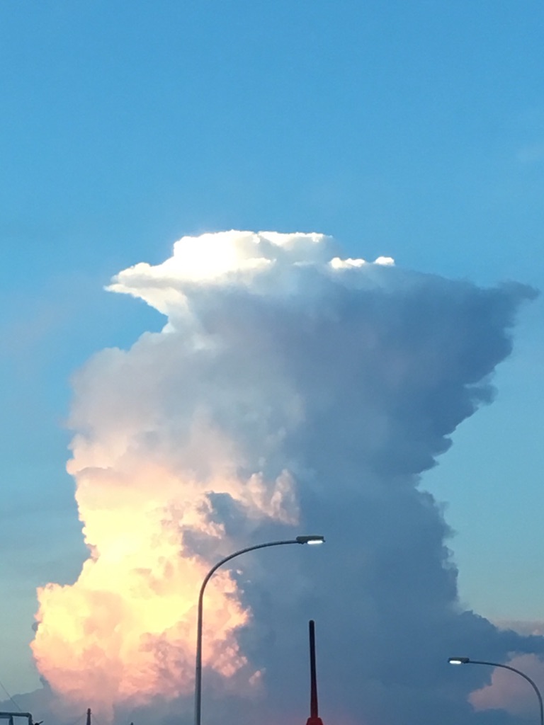 ゲリラ豪雨 スタッフblog ロンドスクールmax東村山 Rondo Sports Web ゲリラ豪雨 スタッフblog ロンドスクールmax東村山 Rondo Sports Web