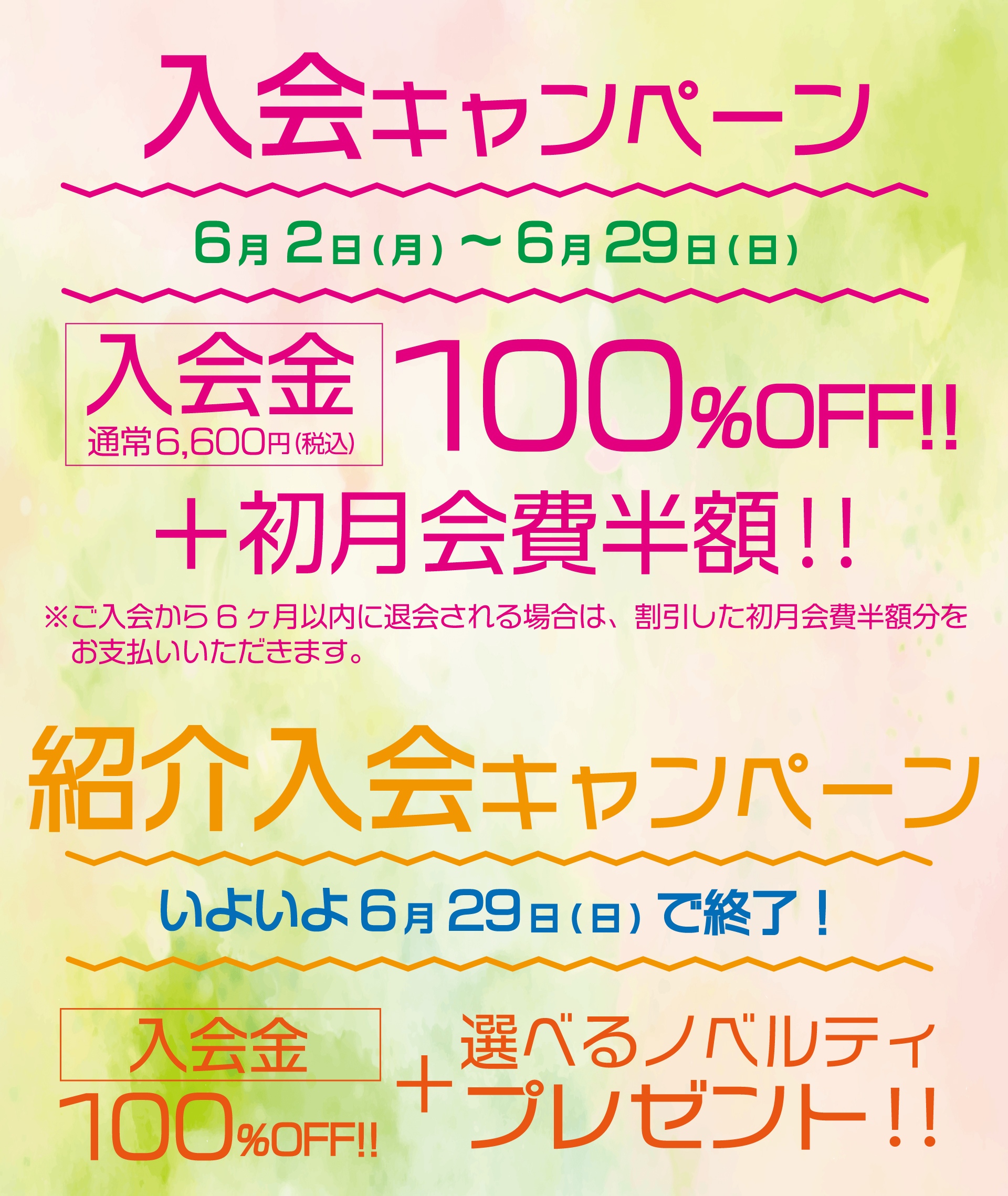 上北台大人のスイミングスクールキャンペーン