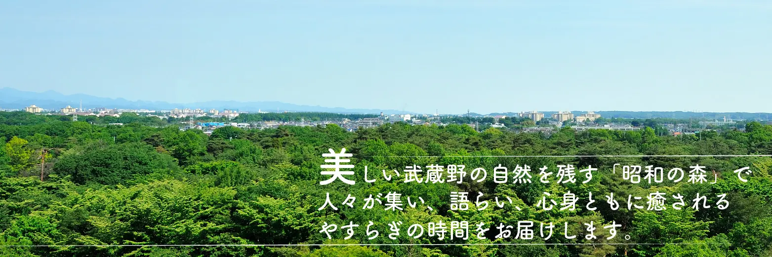 サンプル画像